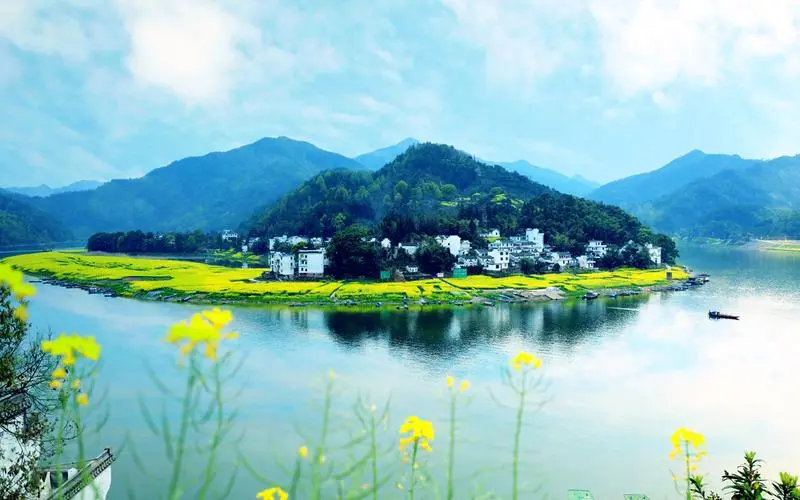 节能全自动高端